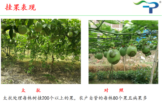 1513319329296156Iu4E.png blob.png