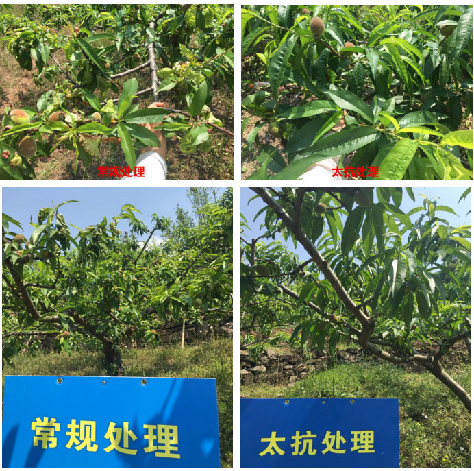 1513328918270858oqHz.jpg TIM截圖20171215170210.jpg