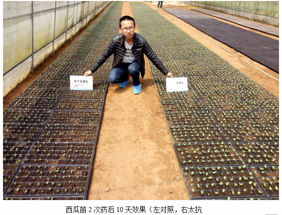 1513331762562499hBCl.png blob.png