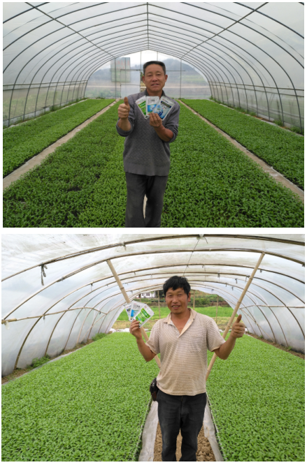 1513331806740262GnKT.png blob.png