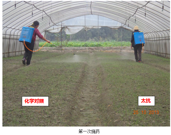 151333309716788391Bc.png blob.png