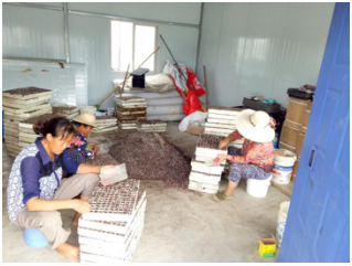 1515667927609323z2VQ.png blob.png