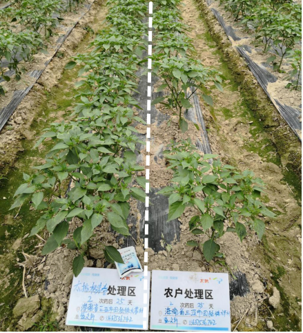 1515669676785681EK5g.png blob.png