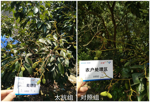 1527235446372806z2hl.png 圖片5_副本.png