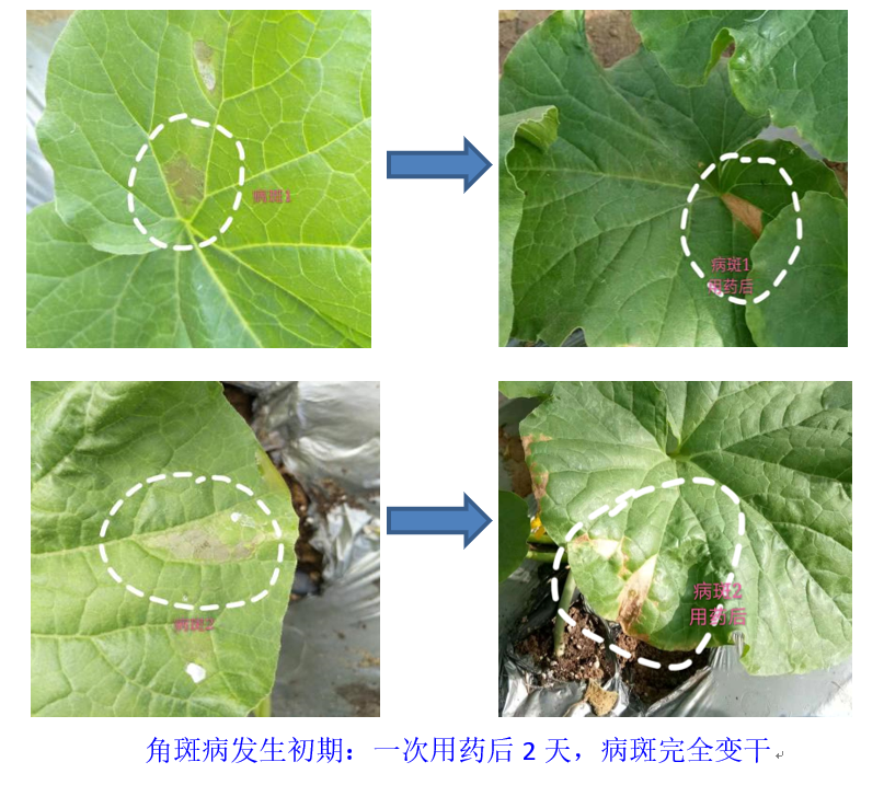 1544756454410009SmwQ.png 圖片.png