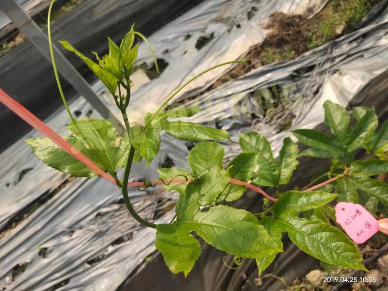 1576550094716544RDpE.jpg 4eeb34faf8bc087d24cafa345b7623c.jpg