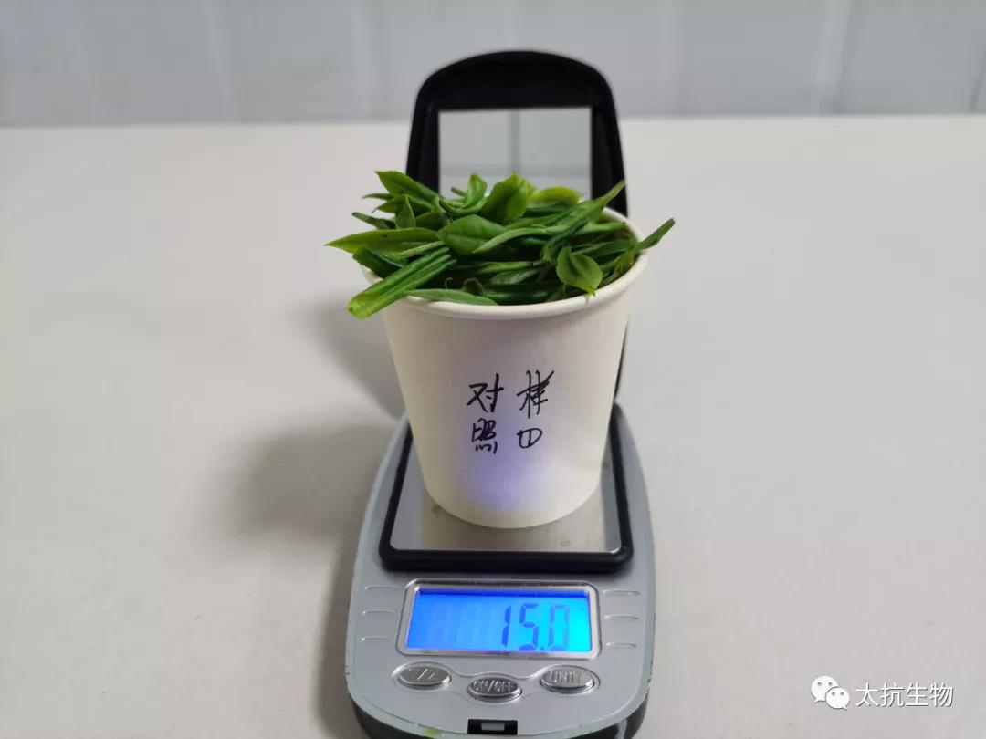 16343975112712975SA4.jpg 微信圖片_20211016230518.jpg