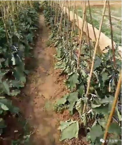 1634827589556376hMtS.jpg 微信截圖_20211021224826.jpg